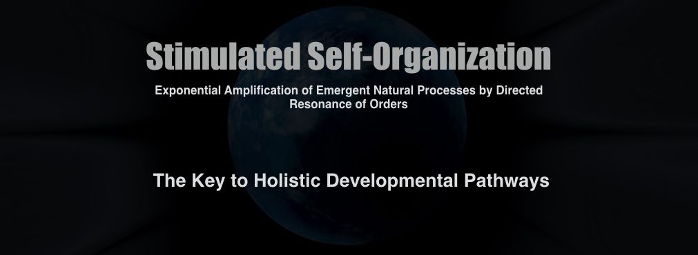 Stimulated Self-Organization